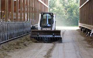 Feed Alley