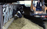 Feed Alley
